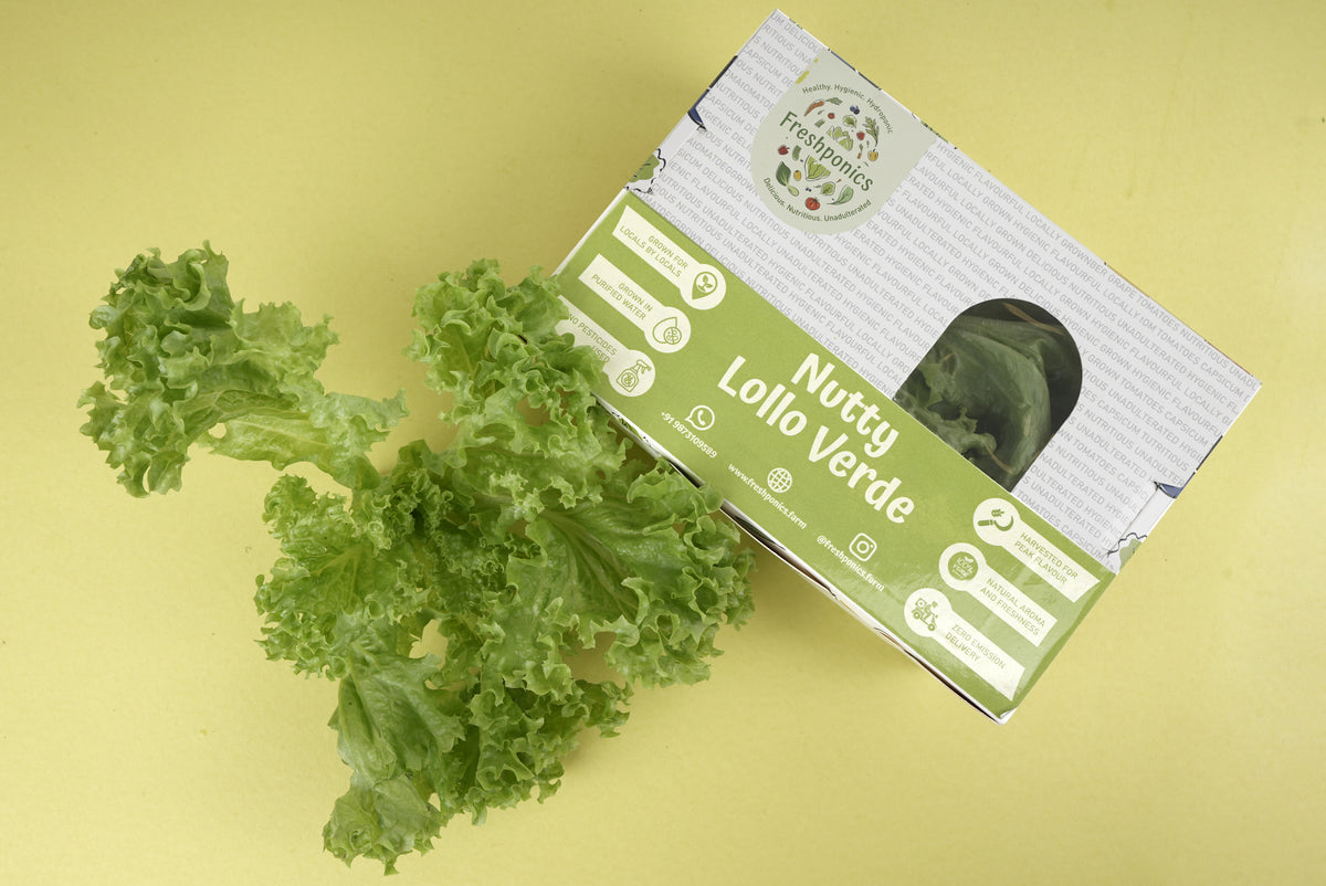 Nutty Lollo Verde (Green Lettuce)