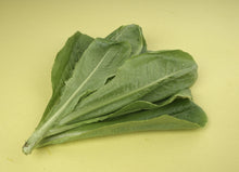 Load image into Gallery viewer, Mediterranean Romaine Lettuce
