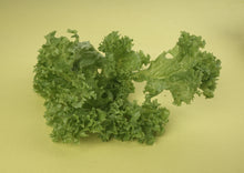 Load image into Gallery viewer, Nutty Lollo Verde (Green Lettuce)
