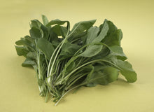 Load image into Gallery viewer, Peppery Rucola
